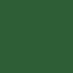 Image of Hot Stamp Color Swatch (Dark Green P732)