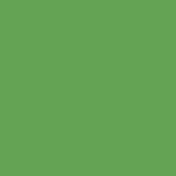 Image of Hot Stamp Color Swatch (Green P725)