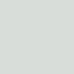 Image of Silver Hot Stamp Color Swatch